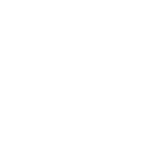 Gemini_Generated_Image_7wzjqg7wzjqg7wzj (2)